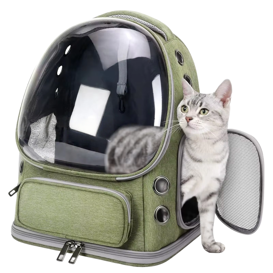 Backpack Carriers
