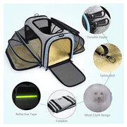 Double-Expansion Pet Carrier Tote