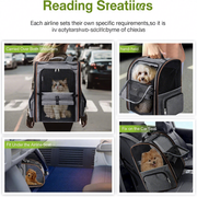 Expandable Pet Carrier with Car Seat Strap