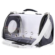 Transparent Pet Carrier Tote with Front Entry