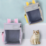 Structured Pet Carrier Backpack