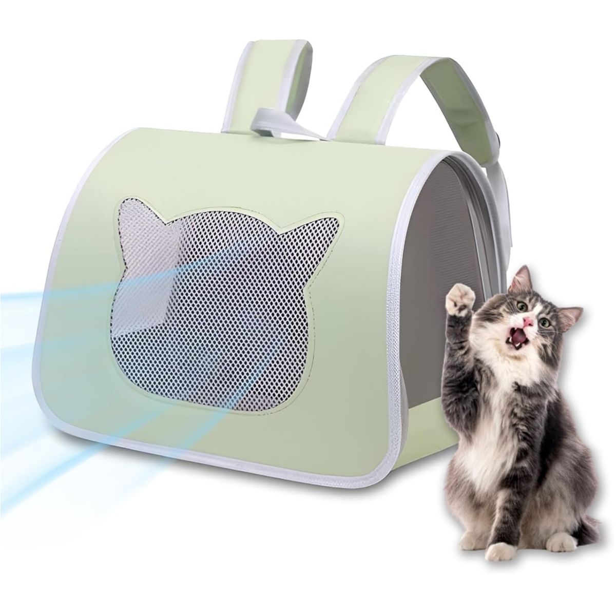 Pet Carrier Backpack with Two Size Options