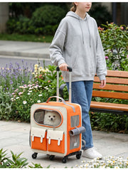 Convertible Pet Carrier Backpack with Standard & Wheeled Options