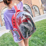 Pet Carrier Backpack