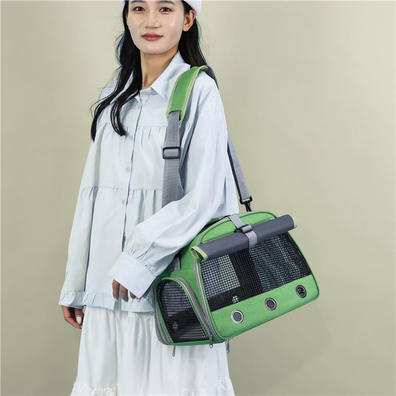 Small Pet Travel Carrier with Accessory Set