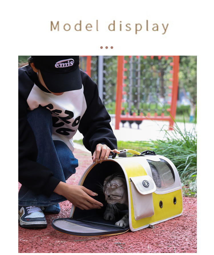 Soft-Sided Pet Carrier Tote