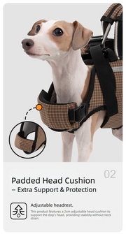 Ice-Silk Horizontal Pet Backpack Carrier with Spine-Friendly Support