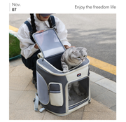 Cationic Pet Carrier Backpack with Trolley Configuration